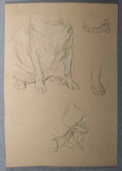 Studies of a seated Bulldog